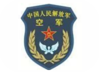 空軍部隊